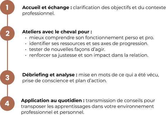 déroulement séance equicoaching
